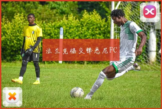 法兰克福交锋悉尼FC
