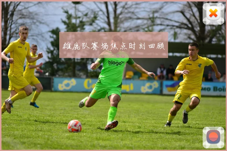 雄鹿队赛场焦点时刻回顾