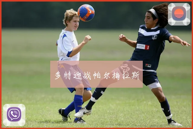 多特迎战帕尔梅拉斯