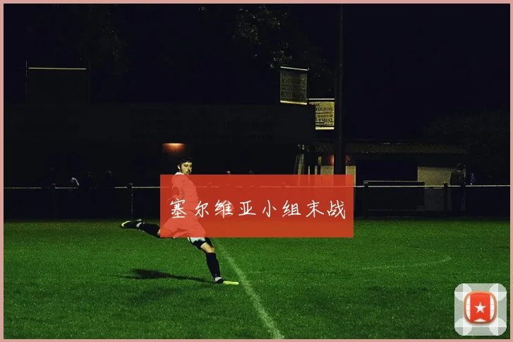 塞尔维亚小组末战
