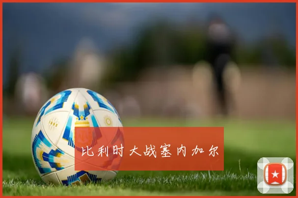 比利时大战塞内加尔
