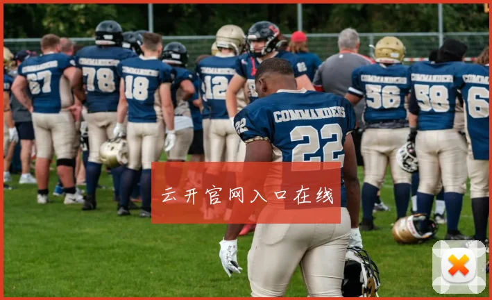 云开官网入口在线