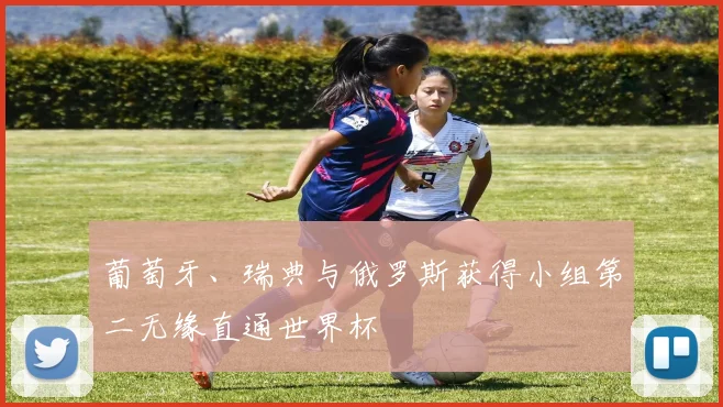葡萄牙、瑞典与俄罗斯获得小组第二无缘直通世界杯