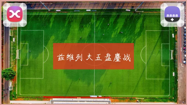 兹维列夫五盘鏖战
