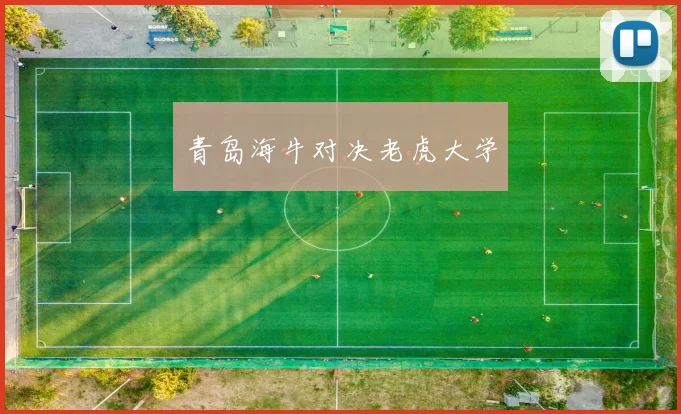青岛海牛对决老虎大学