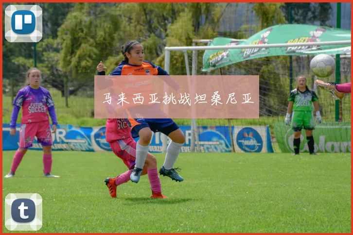 马来西亚挑战坦桑尼亚