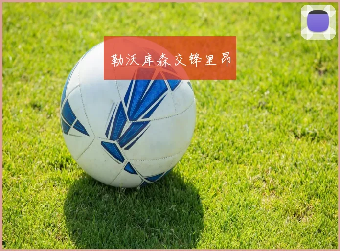 勒沃库森交锋里昂