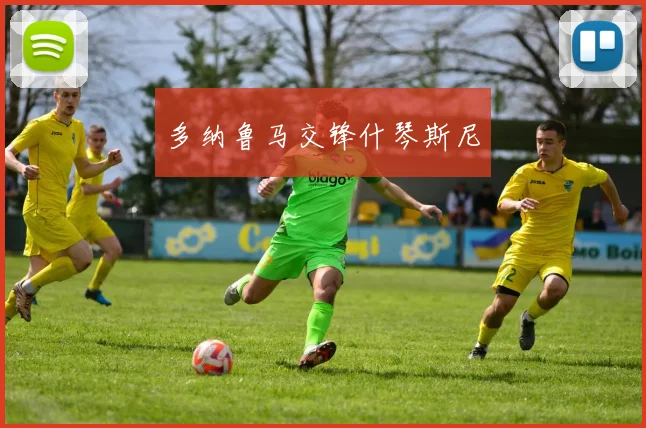 多纳鲁马交锋什琴斯尼