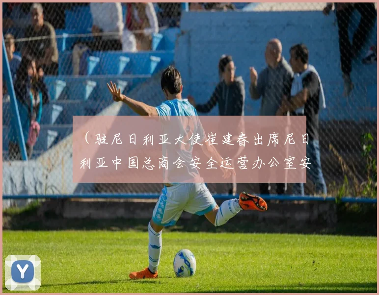 （驻尼日利亚大使崔建春出席尼日利亚中国总商会安全运营办公室安