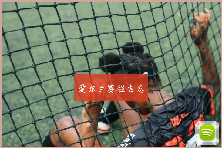 爱尔兰赛程告急