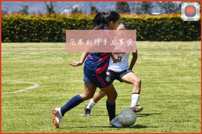 范弗利特季后赛夜