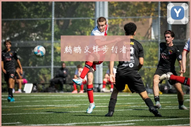 鹈鹕交锋步行者