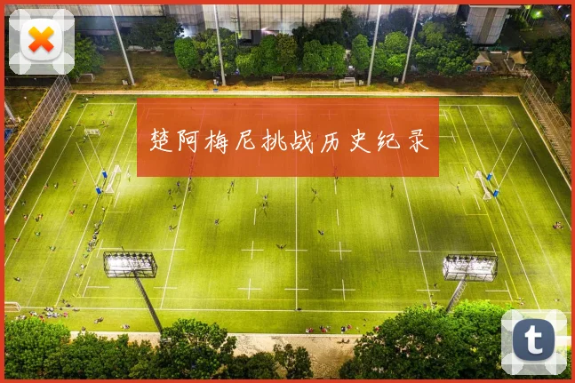 楚阿梅尼挑战历史纪录