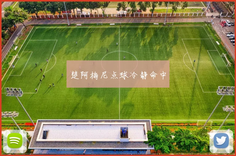 楚阿梅尼点球冷静命中