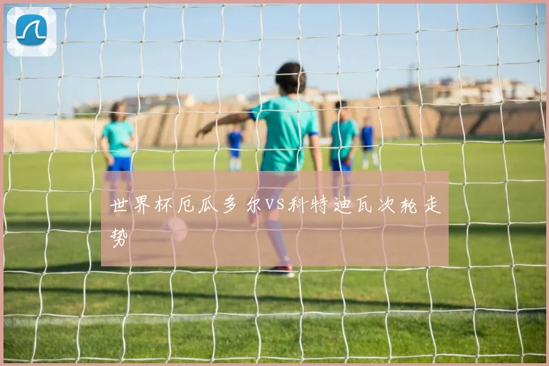 世界杯厄瓜多尔vs科特迪瓦次轮走势