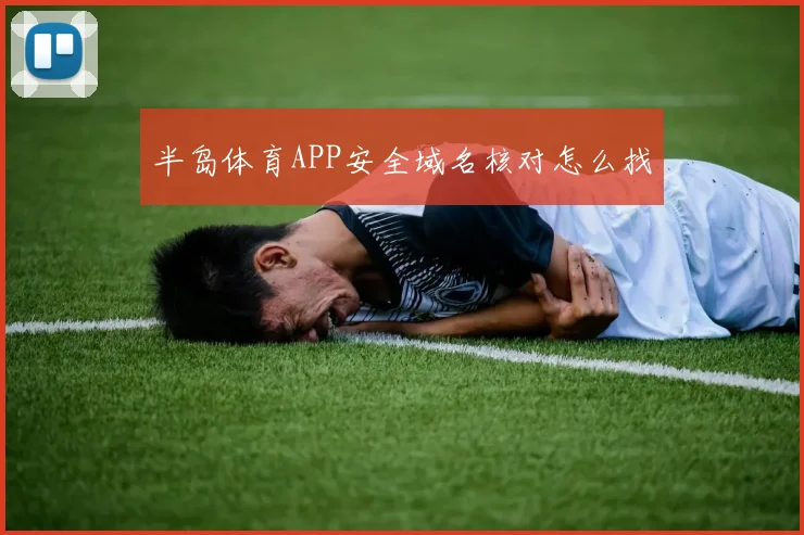 半岛体育APP安全域名核对怎么找