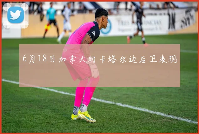 6月18日加拿大对卡塔尔边后卫表现
