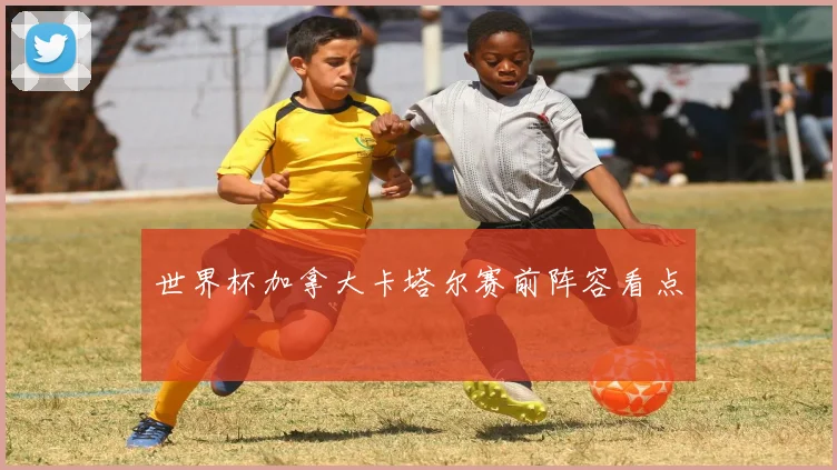 世界杯加拿大卡塔尔赛前阵容看点