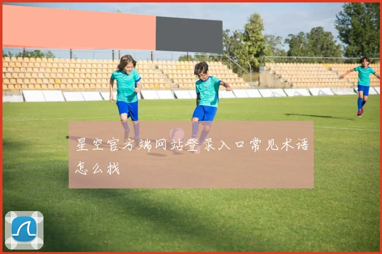 星空官方端网站登录入口常见术语怎么找